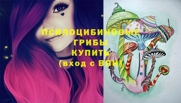 эйфоретик Бородино