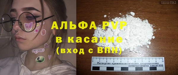 эйфоретик Бородино
