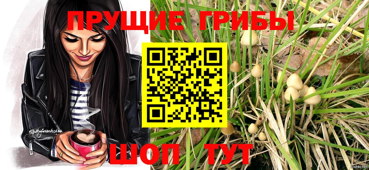 Мурманск  Псилоцибиновые грибы Cubensis  Вход с VPN 